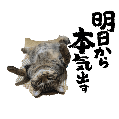 mokumoku_20251116215543