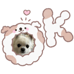 kurumi_20251117091746