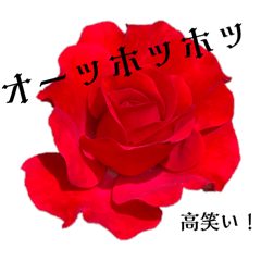 ghost_20251114235813