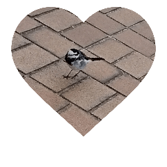 動物 鳥 写真 かわいい 青空 羽ばたく Line スタンプ Line Store 動物 鳥 写真 かわいい 青空 羽ばたく Line スタンプ Line Store