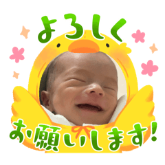 momoko_20251116211337