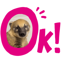 kawada_20251116191757