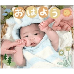 hanamama_20251116155607