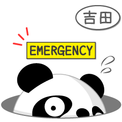 Mr. Panda for YOSHIDA only [ver.2]