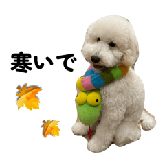 Himehimeko_20251116201015