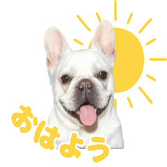 Gabriel's daily life.