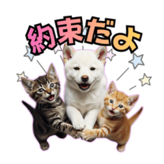 もふめし。 ふんわり日常スタンプ