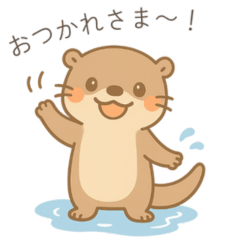 tsuburana otter-kun