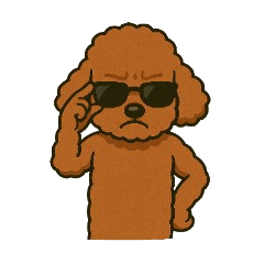 Cool Poodle Stickers: Daily & Biz Style