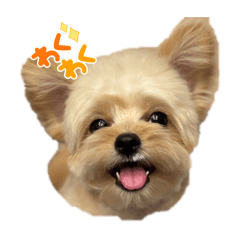 teteteteten_20251115100037