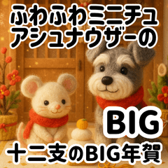 Fluffy Miniature Schnauzers & Zodiac BIG