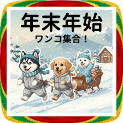 All Dogs United: Popular Breeds