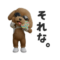 サロペのトイプー①