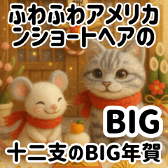 Fluffy American Shorthairs & Zodiac BIG