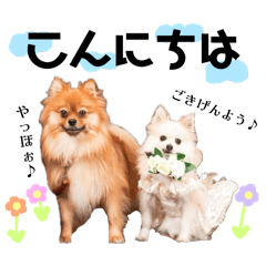 hajime no ippo_20251116175326