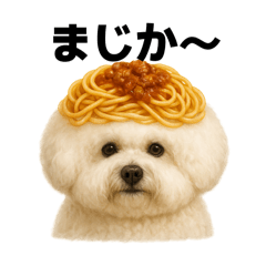 Bichon Pasta-ze