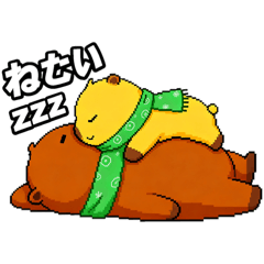 カピバラのカップルの日常