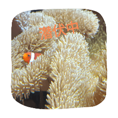 arisa_20251116213616