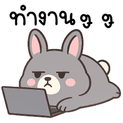 ต้าวอ้วน กระตุ่ย น่ารัก