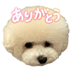 happynail_20251116010344