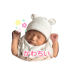 tamago_20251116232954