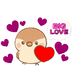 SHARON_20251117001417