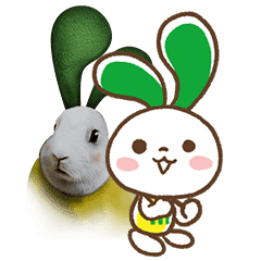 たまにすごい現実的になるマイネオうさぎ Line スタンプ Line Store