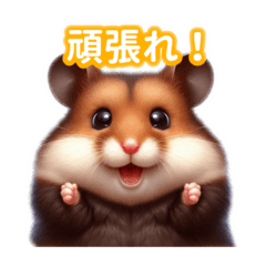 So Cute! Black-bellied Hamster