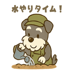 Relaxing Garden Days with Schnauzer