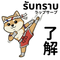 Muay Thai Shiba Inu: Thai & Japanese