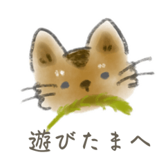 POYO chan_20251115224848