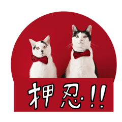 パンチョとガバチョ　公式スタンプ