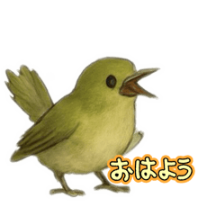 うぐいすと一緒 - LINE スタンプ | LINE STORE