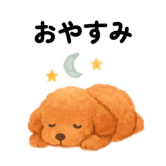 Very cute toy poodle stamps