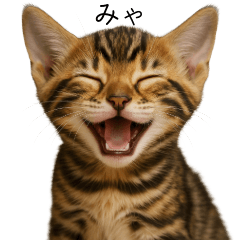 Smiling Kittens Stickers