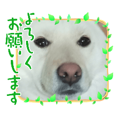 kazumi_20251116213012