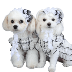 リンちゃんミクちゃんの可愛いスタンプ