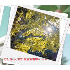 YUKIE_20251114124314