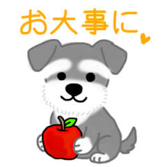 A Sticker of Schnauzer