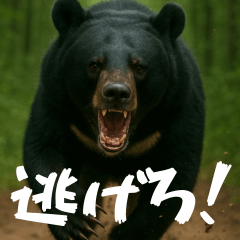 Bear! Bear! Bear! Stickers Japanese