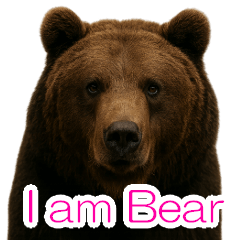 I'm a Bear! I'm Not Scary.