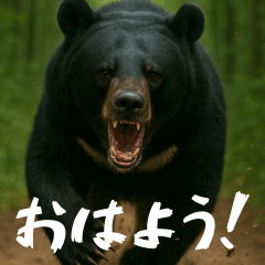 Bear! Bear! Bear!  EverydayPack Japanese