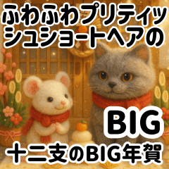 Fluffy British Shorthairs & Zodiac BIG