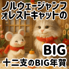 Fluffy Norwegian Forest Cats &Zodiac BIG