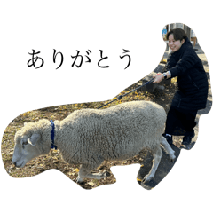 MOMOKO_20251117133253