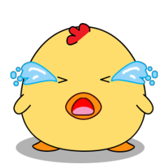 Anak ayam yang gemuk