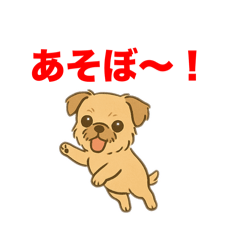 mazzu studio_20251117142912