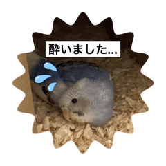 yurina_20251117152034