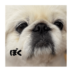 Makko_20251117151442