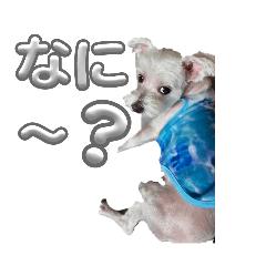 Kazuki_20251117143516